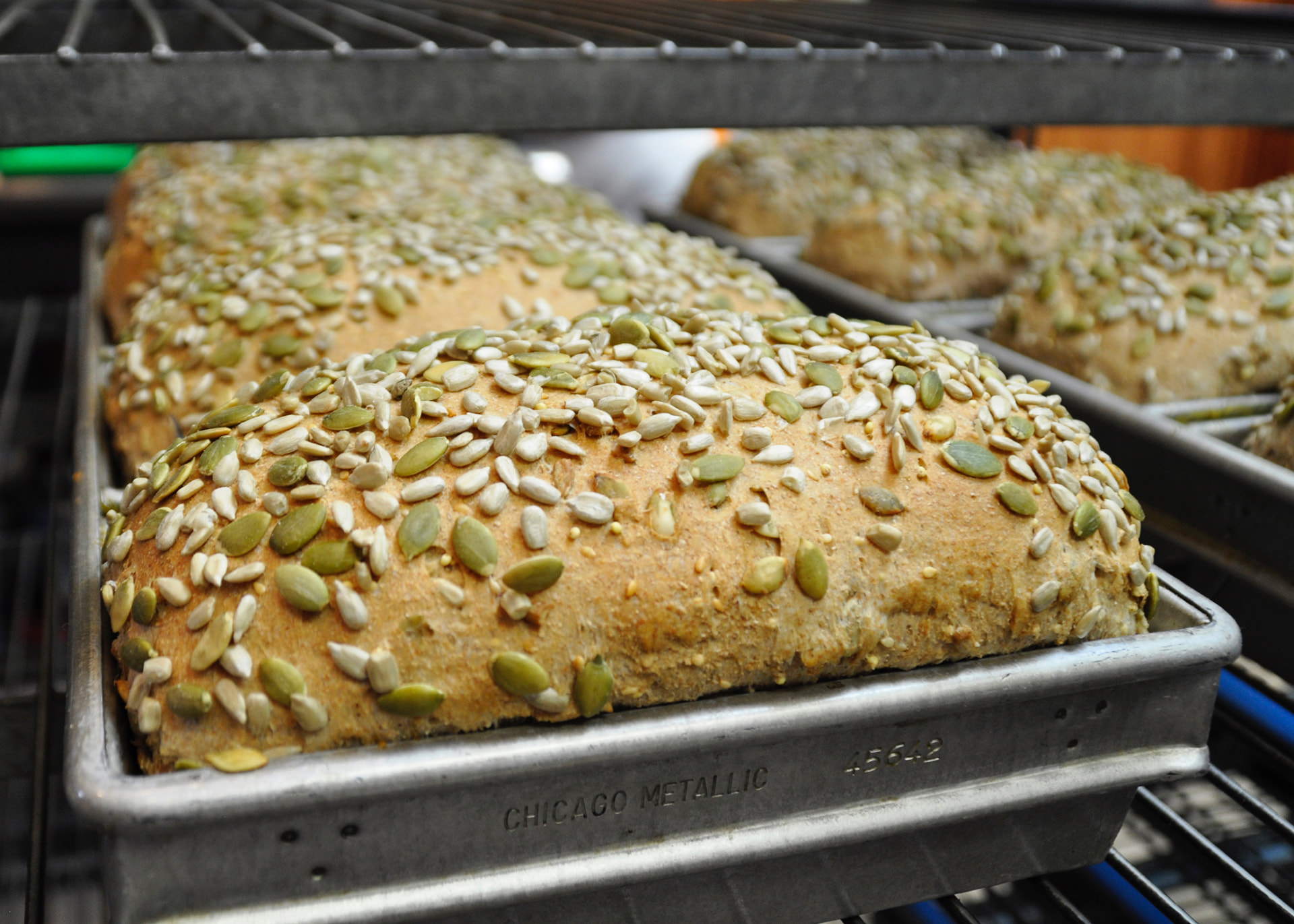 Freshly baked Dakota bread loaves topped with pumpkin and sunflower seeds in bakery pans
